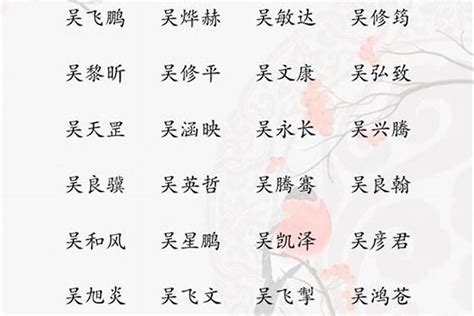 吳 取名|吴姓男孩取名：简单大气好听独一无二的名字大全